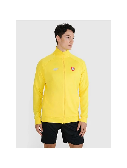 Pánská tréninková mikina s kapucí model 22117526 pánské - 4F