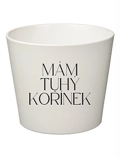 MÁM TUHÝ KOŘÍNEK - velký květináč