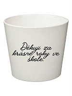 DĚKUJI ZA KRÁSNÉ ROKY VE ŠKOLE! - velký květináč