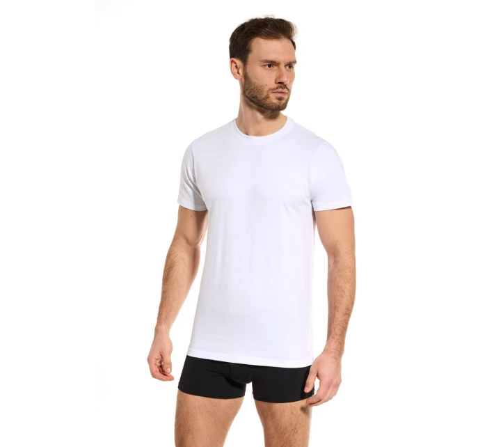 PÁNSKÉ TRIČKO TT002 PÁNSKÉ TRIČKO TT002