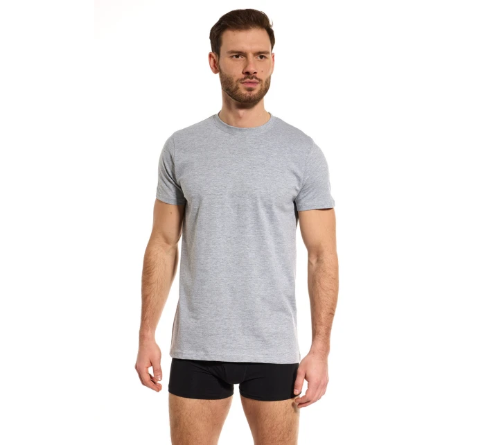 PÁNSKÉ TRIČKO TT002 PÁNSKÉ TRIČKO TT002