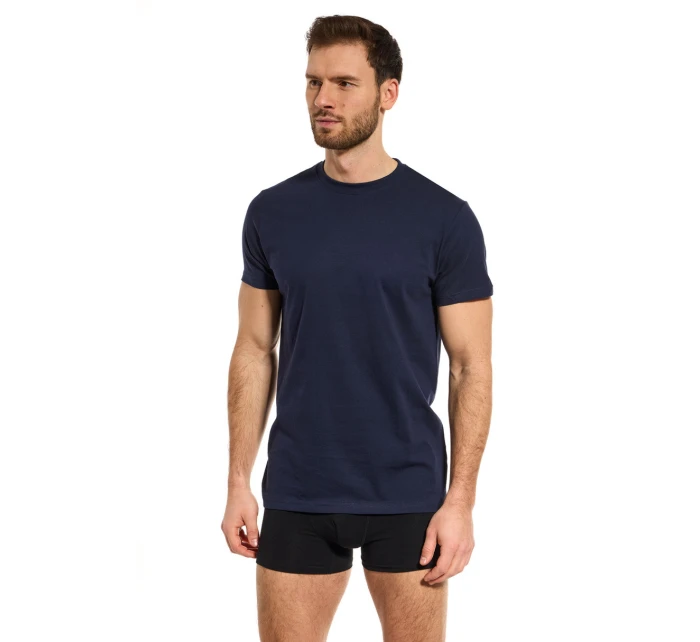 PÁNSKÉ TRIČKO TT002 PÁNSKÉ TRIČKO TT002