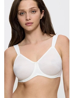 Soft model 230705 Triumph