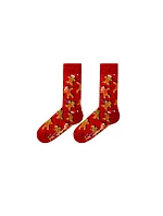 Dámské ponožky John Frank WJFLSFUN-CH25 Dámské ponožky John Frank WJFLSFUN-CH25