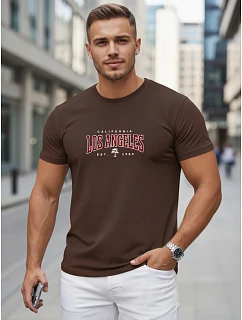 Pánské bavlněné tričko s nápisem, hnědé, FashionStreet NX5136R