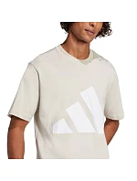 Tričko adidas Essentials Big Logo M JE8933 muži