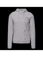 Pánska mikina IANTO Pánska mikina IANTO