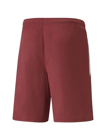 teamLIGA M model 21287993 09 šortky - Puma