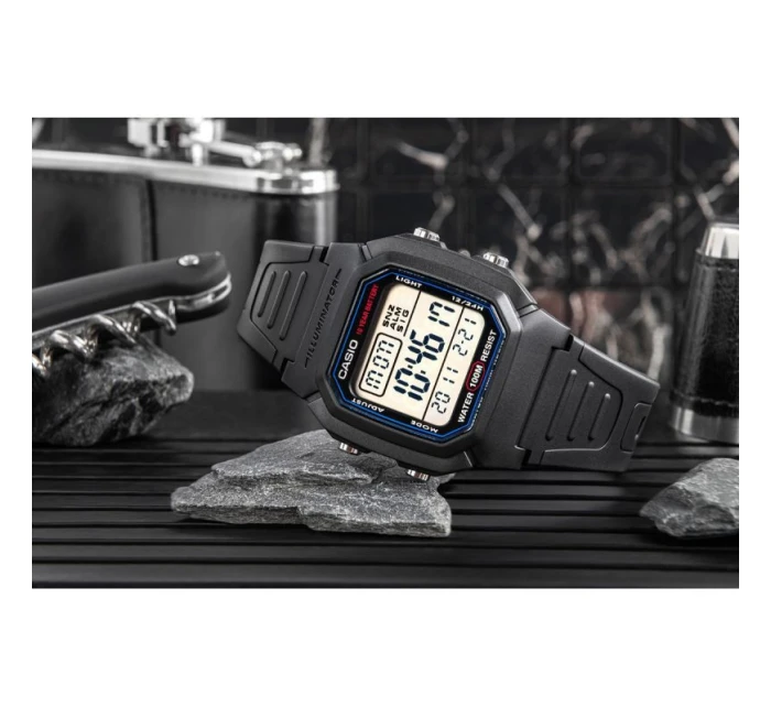 Pánské hodinky model 21804433 + krabice - CASIO Pánské hodinky model 21804433 + krabice - CASIO