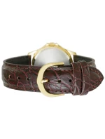 Pánské hodinky model 21805439 + krabice - CASIO Pánské hodinky model 21805439 + krabice - CASIO