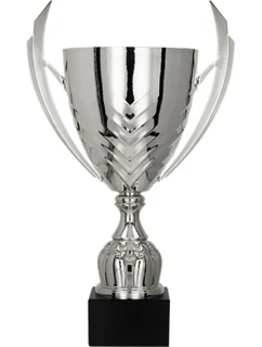 Strieborný kovový pohár