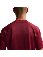 DriFit Park VIII pánské tričko bordó  pánské model 21910905 - NIKE