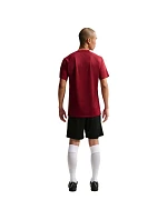 DriFit Park VIII pánské tričko bordó  pánské model 21910905 - NIKE