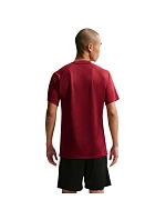 DriFit Park VIII pánské tričko bordó  pánské model 21910905 - NIKE