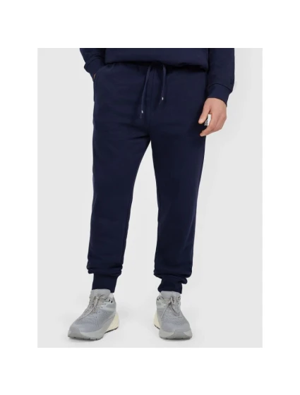 Pánske tepláky typu jogger 4F 4FRMM00TTROM1624-31S Pánske tepláky typu jogger 4F 4FRMM00TTROM1624-31S