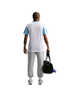 Pánské světle šedé kalhoty Park 26 Fleece model 21926546 063 - NIKE