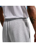 Pánské světle šedé kalhoty Park 26 Fleece model 21926546 063 - NIKE