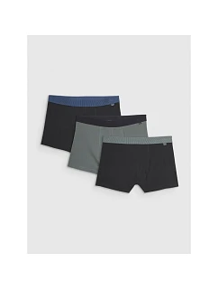 Pánské boxerky (3 balení) 4F 4FRMM00UBXSM068-90S