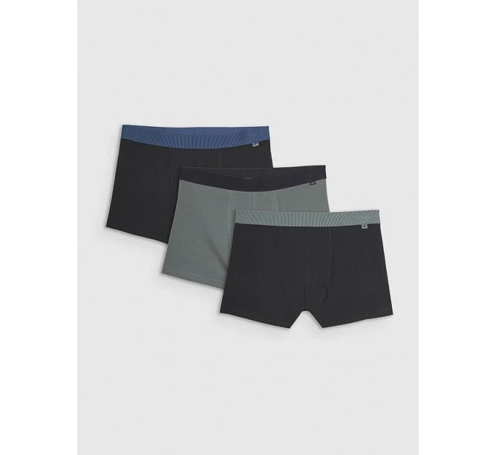 Pánské boxerky (3 balení) 4F 4FRMM00UBXSM068-90S Pánské boxerky (3 balení) 4F 4FRMM00UBXSM068-90S