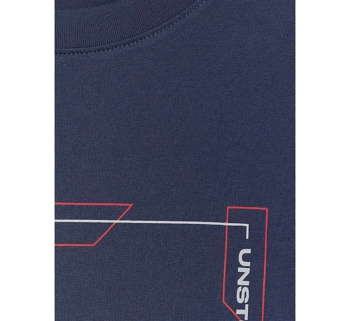 Pánské tričko s potiskem a dlouhým rukávem model 22117317 pánské - 4F Pánské tričko s potiskem a dlouhým rukávem model 22117317 pánské - 4F