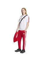 Adidas FC Bayern DNA Tee KG2592 tričko