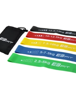 Fitnnes Crosfit mini Band 5v1 cvičebná gumová súprava EB FIT 1028842