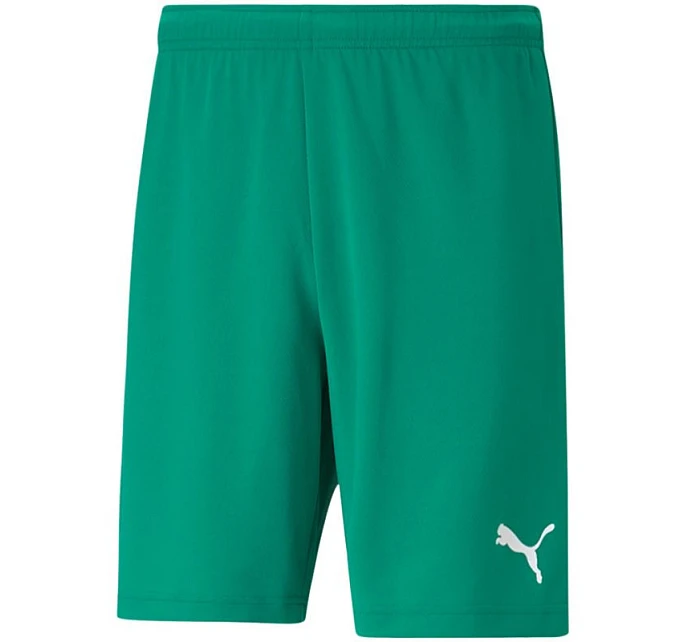 Pánské šortky teamRISE Short M model 16082269 05 - Puma Pánské šortky teamRISE Short M model 16082269 05 - Puma