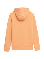 Pánská mikina M SS23TSWS model 18353885 - 4F Pánská mikina M SS23TSWS model 18353885 - 4F