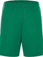 Daiber JN 387 Týmové kraťasy "Basic" 02.0387 green/white