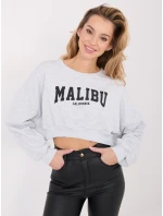 WT BL mikina A1277 1.47 svetlo šedá