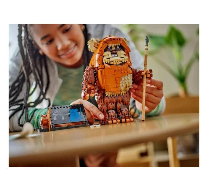 LEGO Star Wars 75430 Ewokovská bránka