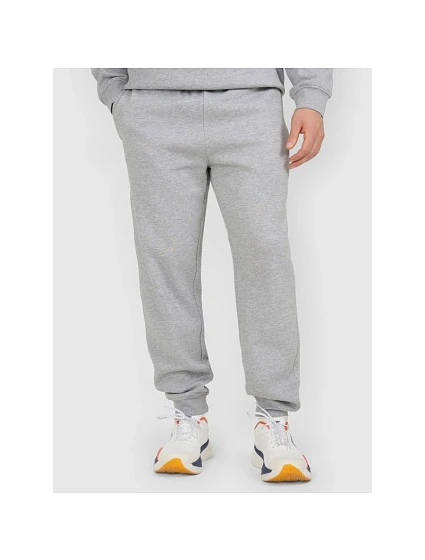 Pánské tepláky typu jogger model 21877671 - 4F