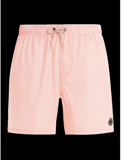 Pánske plážové šortky Protest PRTMANAMA Pánske plážové šortky Protest PRTMANAMA