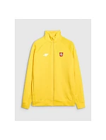 Pánská tréninková mikina s kapucí model 22117526 pánské - 4F