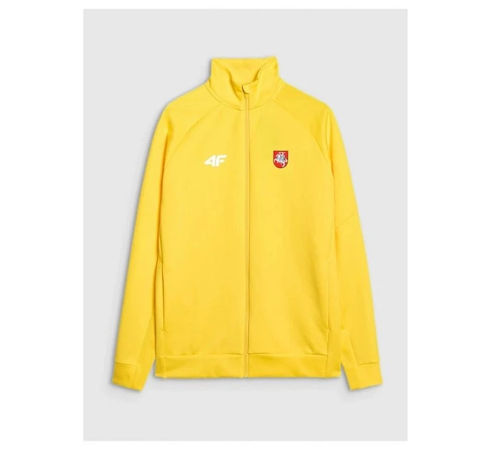 Pánská tréninková mikina s kapucí model 22117526 pánské - 4F