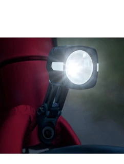 FL 100 model 21853945 - Sigma