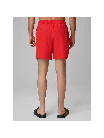 Pánské plážové šortky typu boardshorts model 22271920 - 4F Pánské plážové šortky typu boardshorts model 22271920 - 4F