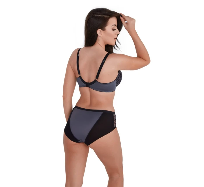 FIGI  GRAFIT model 19157656 - Gaia