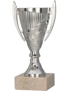 Stříbrný plastový pohár model 21827480