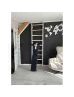 DRABINKA Z DRĄŻKIEM DO I  model 21830339 - Benchk