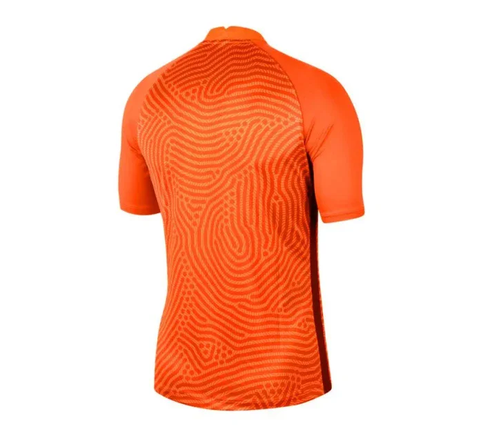 Pánské brankářské tričko III GK M  model 15993858 - NIKE