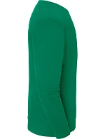 Iconic 250 SetIn Sweat Mikina green model 22459228 - Fruit of the Loom Iconic 250 SetIn Sweat Mikina green model 22459228 - Fruit of the Loom