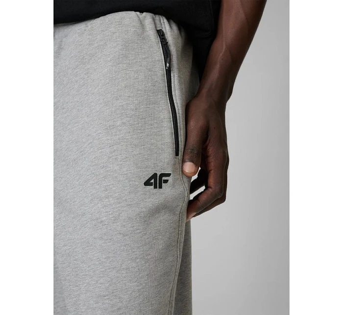 Pánske tepláky typu jogger 4F 4FRMM00TTROM2020-27M