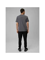 Pánské tepláky typu jogger model 22117476 - 4F