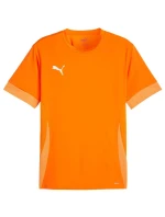 teamGoal Jersey M 08 pánské model 21283917 - Puma