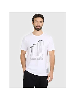 Tshirt regular z nadrukiem męski 4F model 22086792 - Hikvision