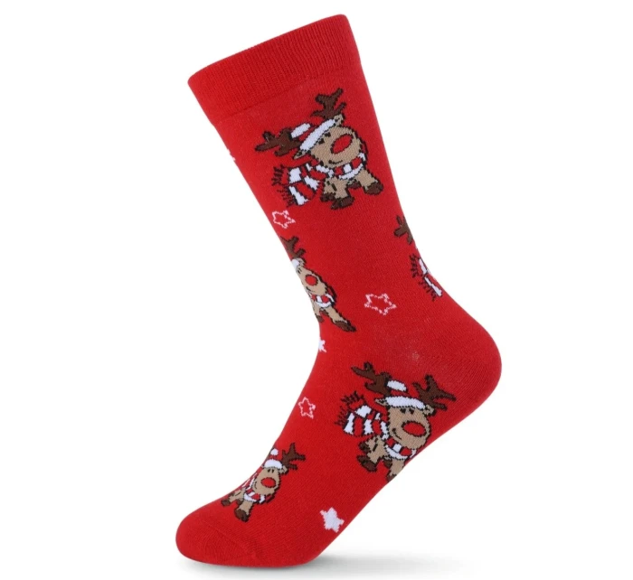 DÁMSKE VIANOČNÉ PONOŽKY SKCH01