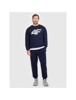 Pánske tepláky typu jogger 4F 4FRMM00TTROM1624-31S Pánske tepláky typu jogger 4F 4FRMM00TTROM1624-31S