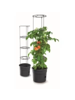 Rajčiak s rebríkom 28L kapacita detské