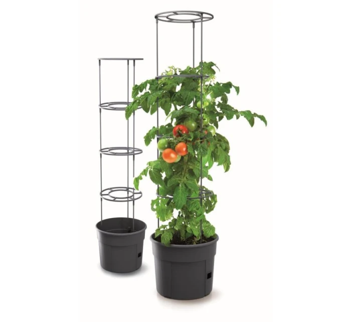 Rajčiak s rebríkom 28L kapacita detské